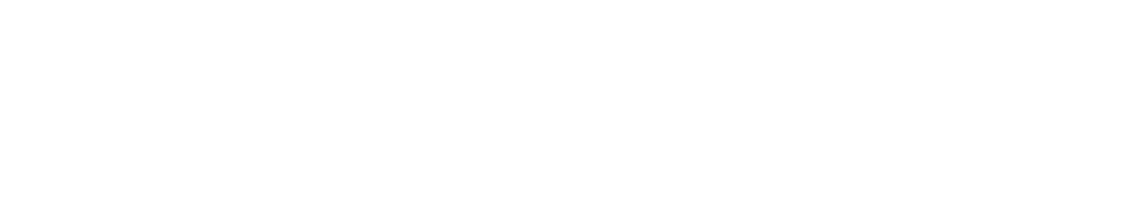 Noi siamo Brescia