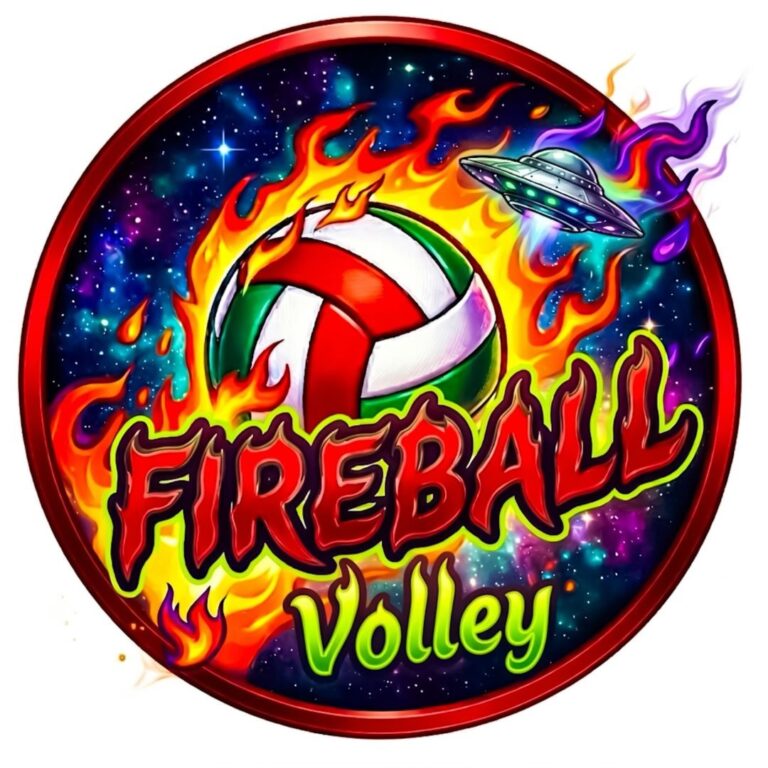 Logo BSV Fireball