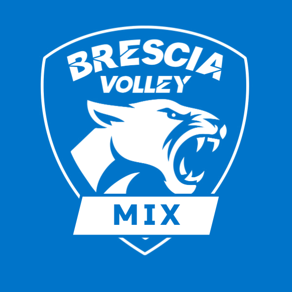 Logo Brescia Volley Mix