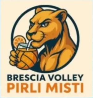 Logo BSV Pirli Misti